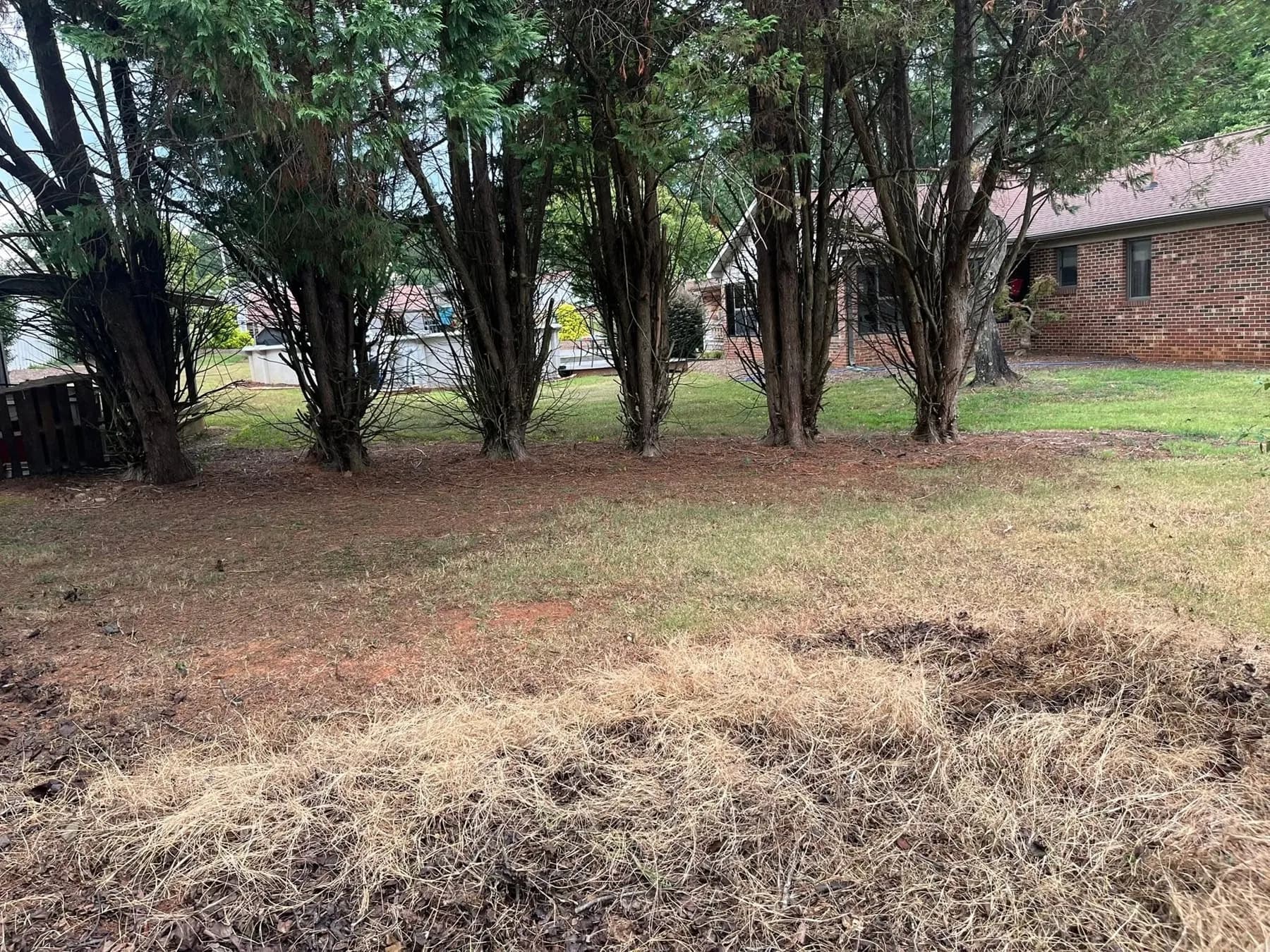 Residential Debris & Yard Cleanup in Maiden, NC — AREA CLEARED