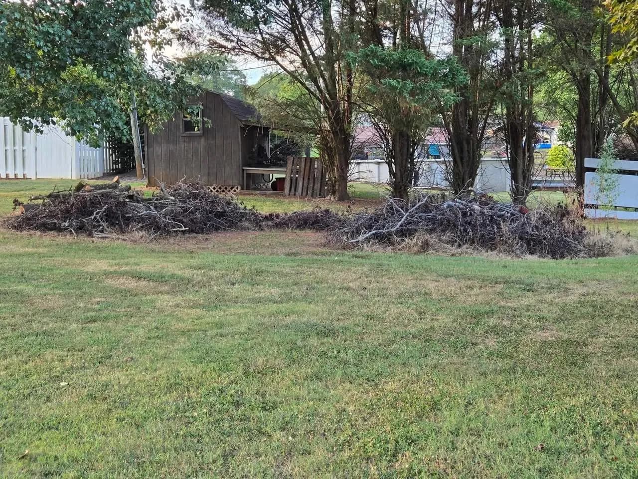 Residential Debris & Yard Cleanup in Maiden, NC — DEBRIS GATHERED FOR REMOVAL