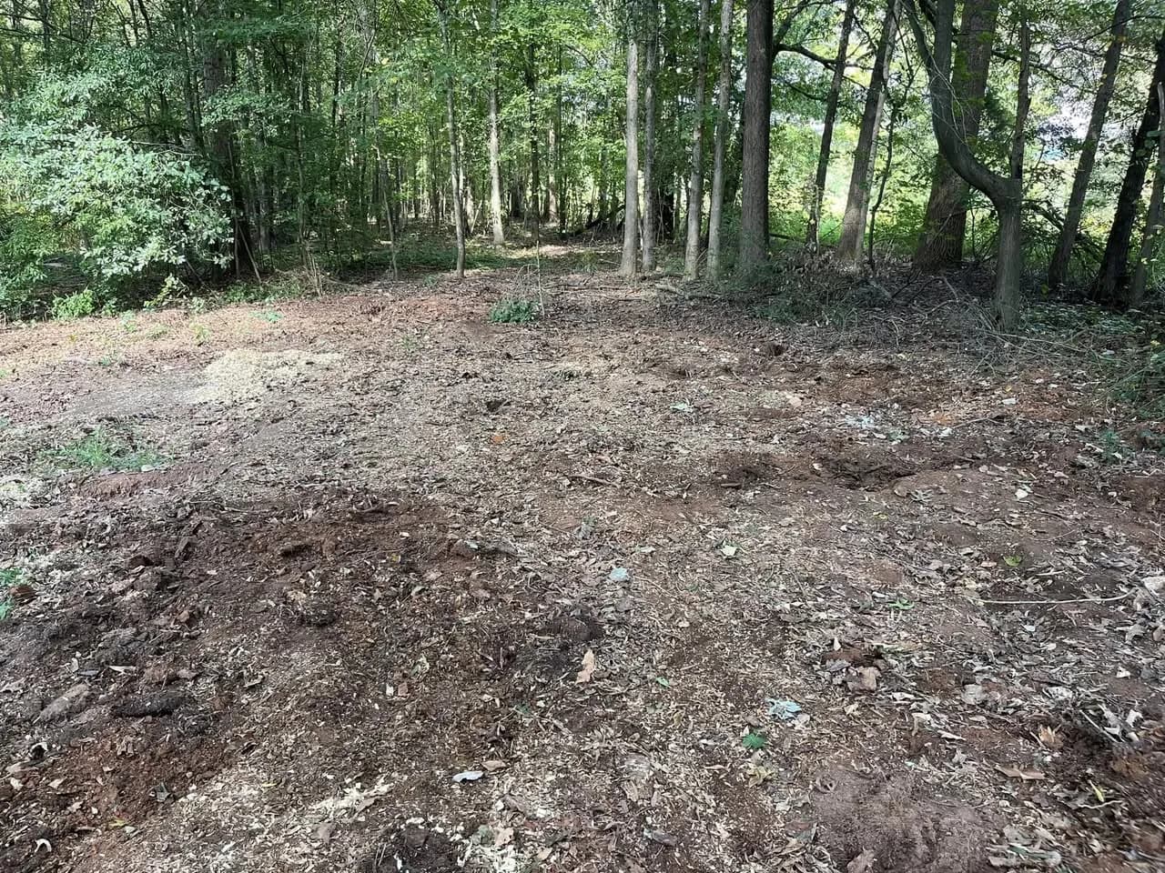 Residential Yard Debris Cleanup in Maiden, NC — AFTER — AREA CLEARED