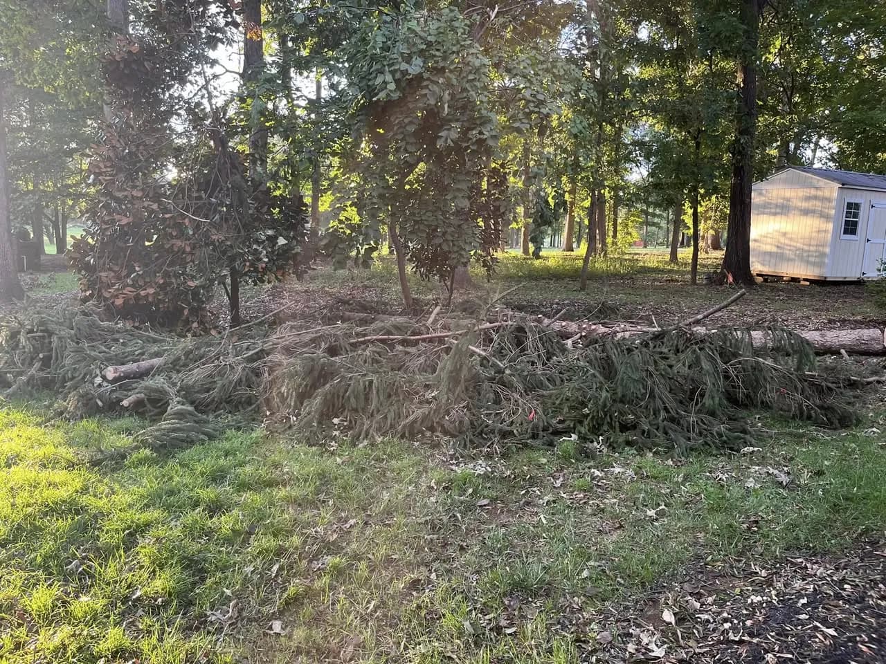 Residential Yard Debris Cleanup in Maiden, NC — CLEANUP IN PROGRESS