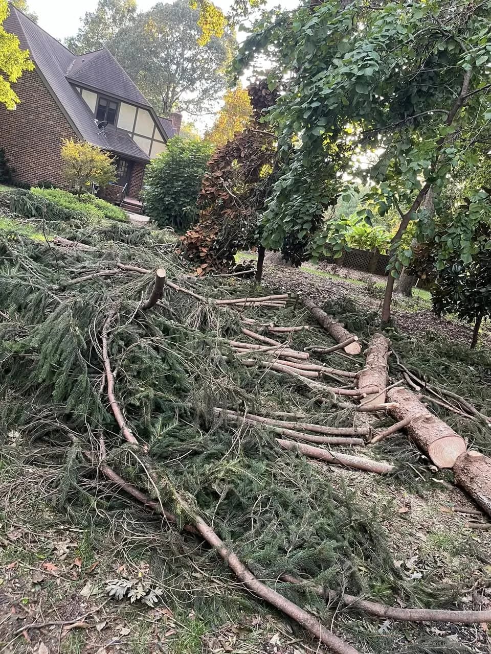 Residential Yard Debris Cleanup — Maiden, NC