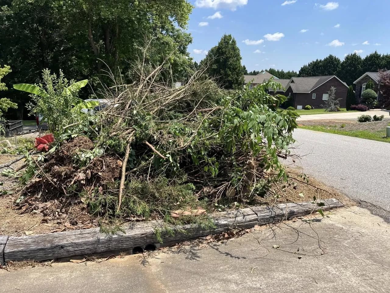 Residential Yard Debris Cleanup in Maiden, NC — DEBRIS GATHERED FOR REMOVAL