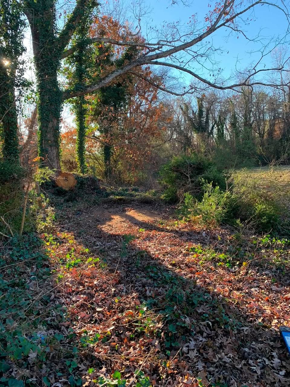 Old Storage Building Removal in Vale, NC — BUILDING REMOVED — WOODED SITE CLEARED